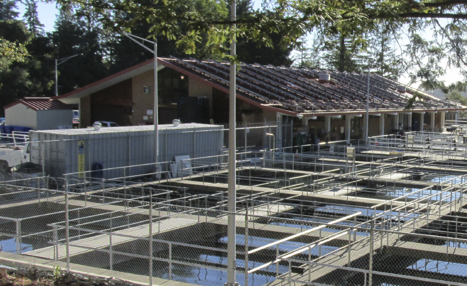 AMS_SantaCruz_CaseStudy_BG